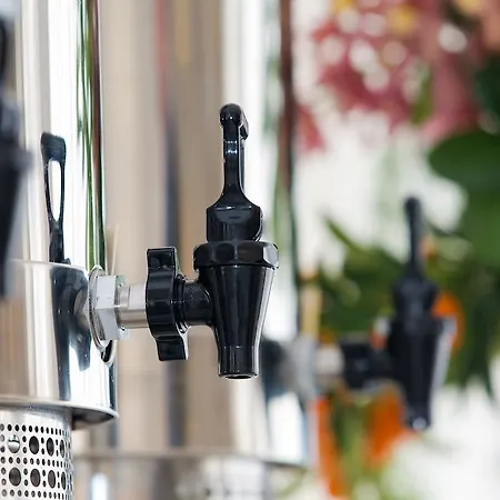 Maine 菲纳莱利古雷